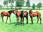 Mares and Foals, Equine Art - Kentucky Yearlings